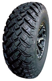 rzr tires