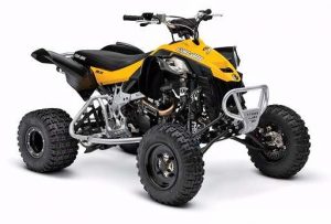 Can-Am DS 450 Tires