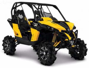 Can-Am Maverick X MR Tires