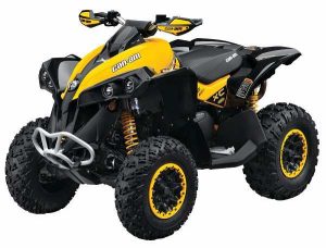 Can-Am Renegade 1000 Tires