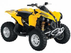 Can-Am Renegade 800 Tires