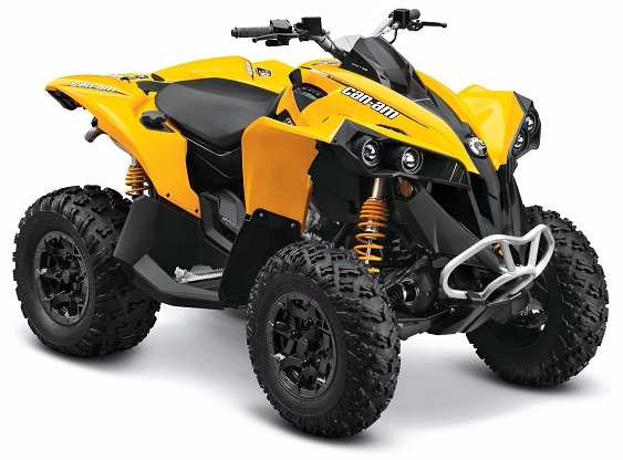 Can-Am Renegade 800R Tires