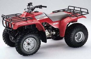 Honda FourTrax 300 Tires