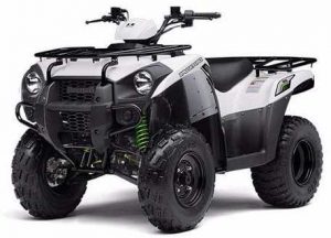 Kawasaki Brute Force 300 Tires