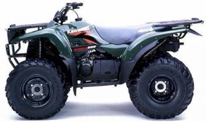 Kawasaki Prairie 300 Tires