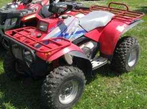 Polaris 400L Tires