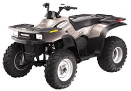 Polaris Magnum 325 Tires