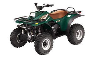 Polaris Xplorer 250 Tires