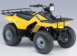 Suzuki QuadRunner 250 Tires