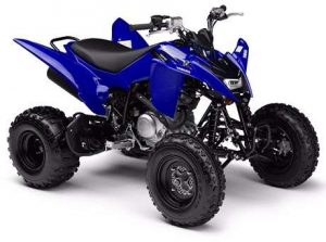 Yamaha 125 Raptor Tires