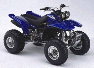 Yamaha Warrior Tires